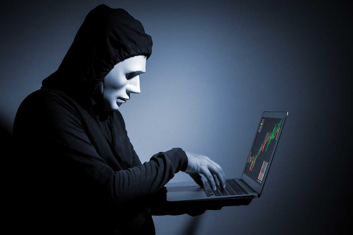 fake identity 256