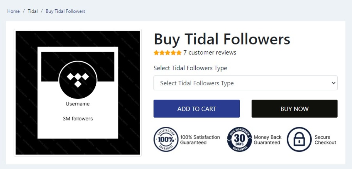 Buy-Real-Media-Buy-Tidal-Followers