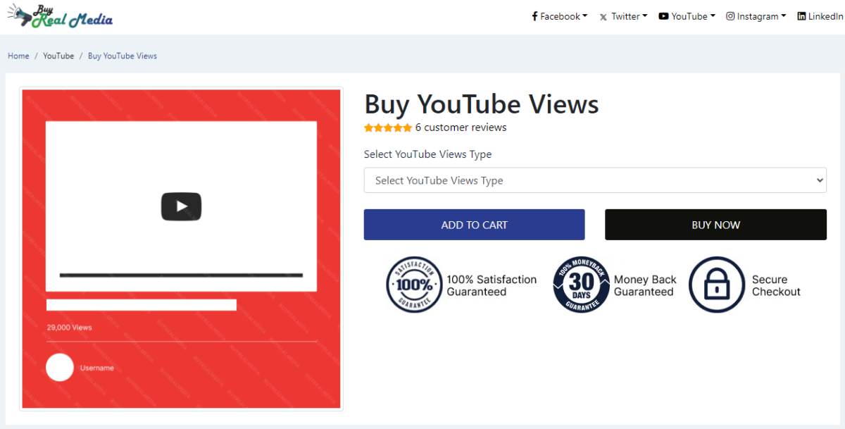 Buy Real Media Buy YouTube Views 1