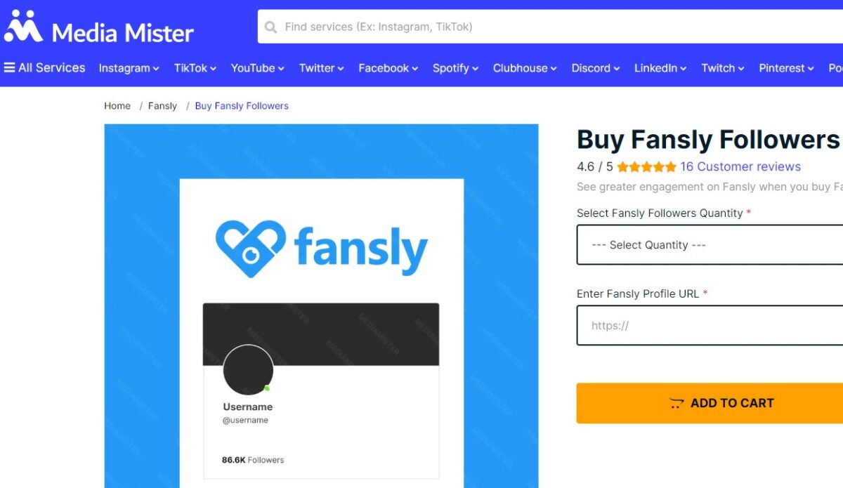 Buy Followers from Media Mister How to Get More Followers on Fansly